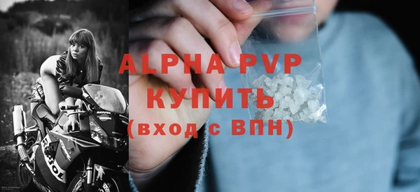 шишки Магас
