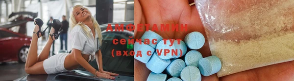 шишки Магас