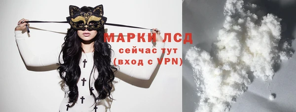 шишки Магас