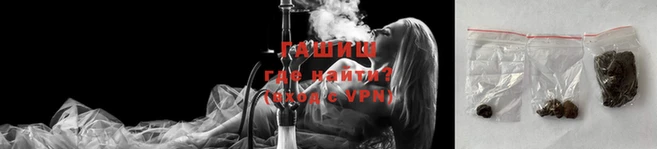 шишки Магас