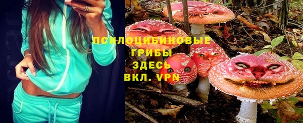 шишки Магас