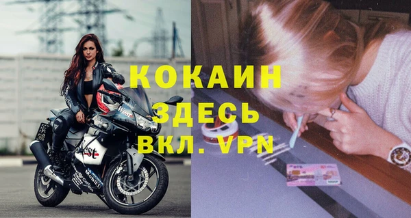 шишки Магас