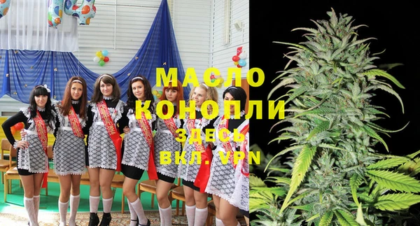 шишки Магас