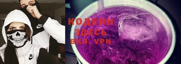 шишки Магас