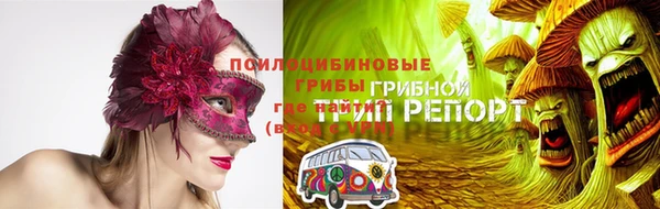амф Магадан