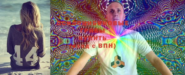 амф Магадан